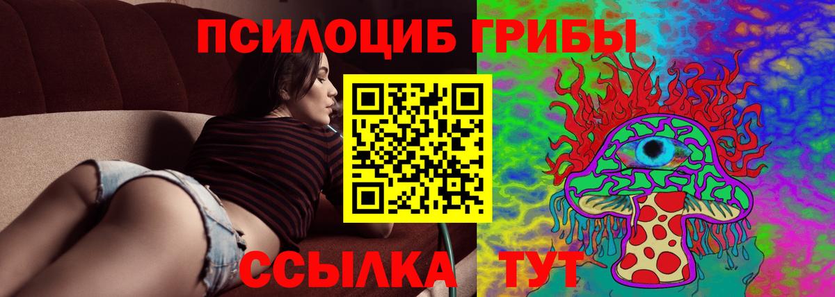 Галлюциногенные грибы Magic Shrooms  Псилоцибиновые грибы мицелий  Вход с VPN  Кингисепп 